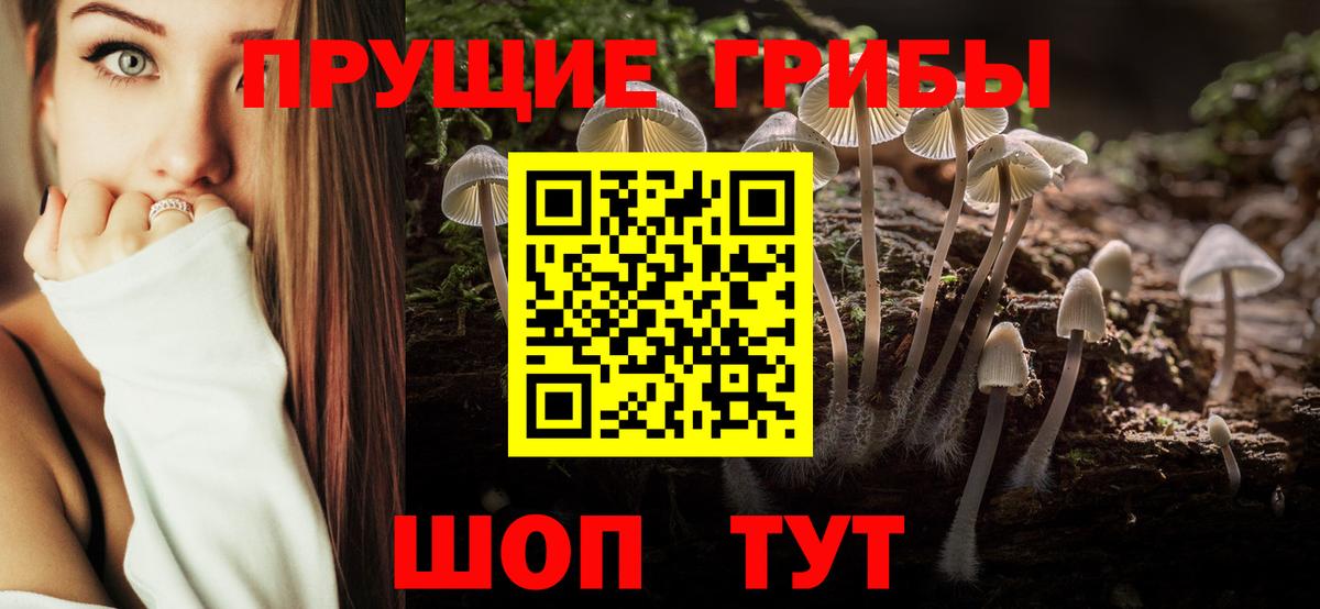 Аша  Галлюциногенные грибы Psilocybe  Вход с VPN  Галлюциногенные грибы ЛСД 